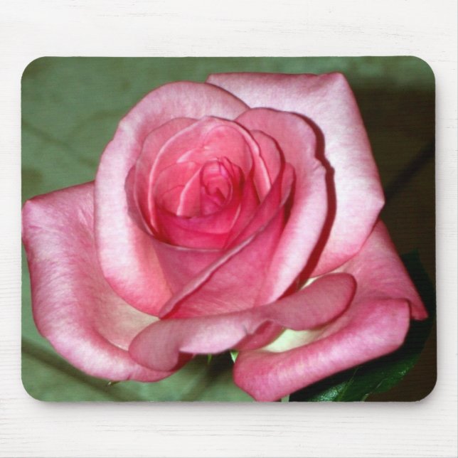 Rose Mouse Pad (Front)