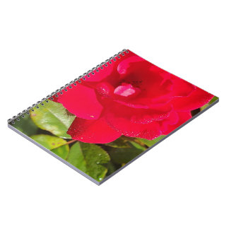 Rose Notebook
