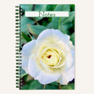 Rose notebook that can also be a journal. 