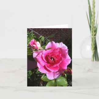 Rose Notecards