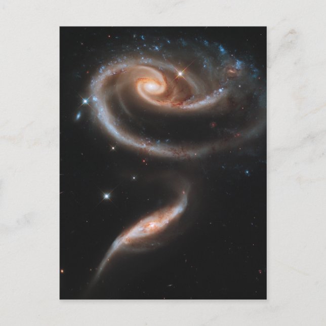 Rose of Galaxies Postcard (Front)