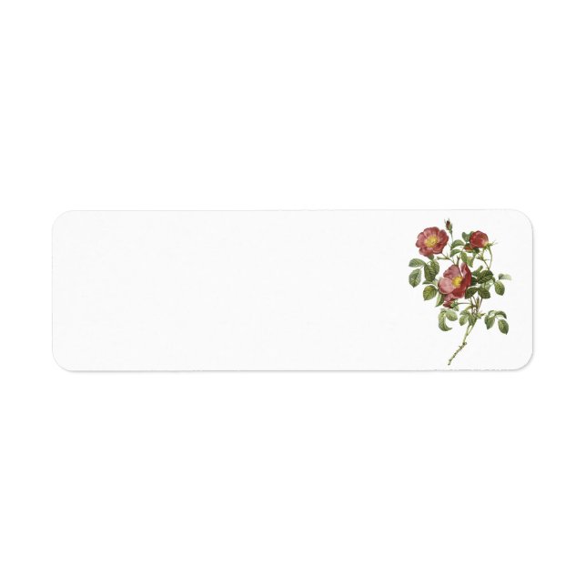 rose of love (Rosa pumila) by Redouté Label (Front)