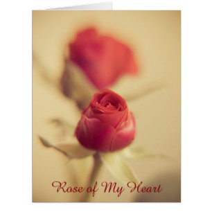 Rose of My Heart Cards
