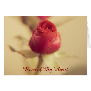 Rose of My Heart Cards