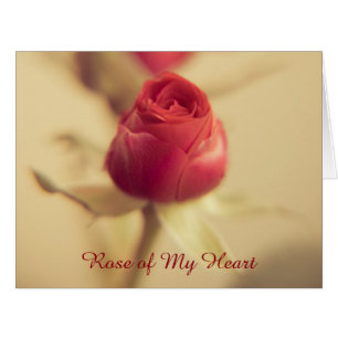 Rose of My Heart Cards