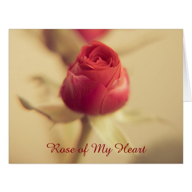Rose of My Heart Cards (Front Horizontal)
