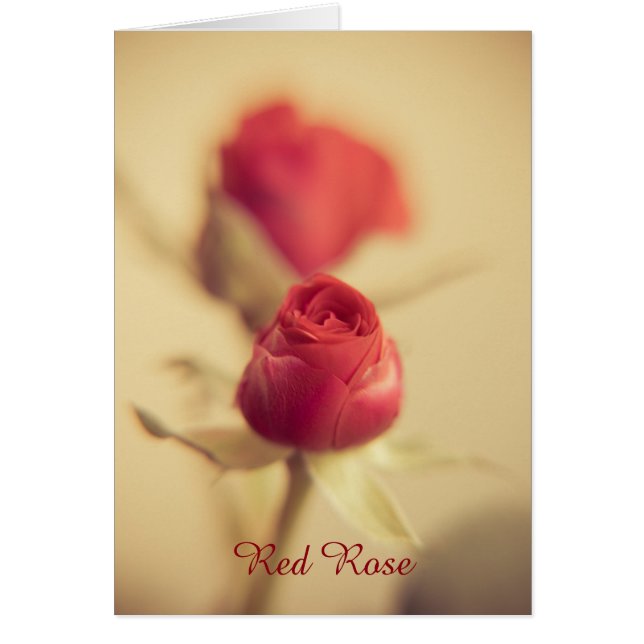Rose of My Heart Cards (Front)