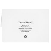 Rose of Sharon Cards (Back Horizontal)