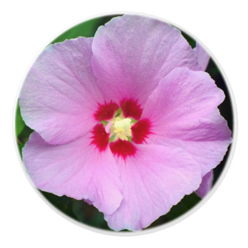 Rose of Sharon Ceramic Knob