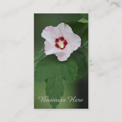 Rose of Sharon Floral Bloom Flower Business Card