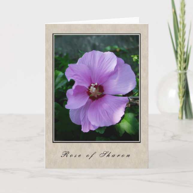 Rose of Sharon - Floral Series Card (Front)