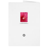 Rose of Sharon Flowering Bush Cards (Back)