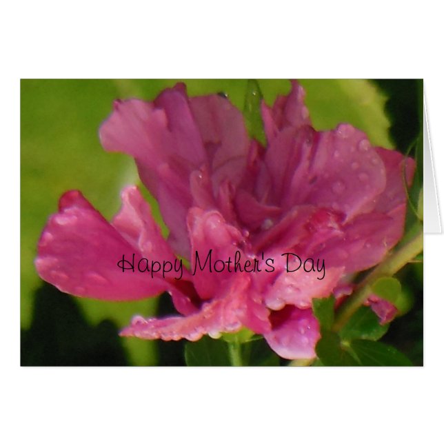 Rose of Sharon Happy Mother's Day Cards (Front Horizontal)