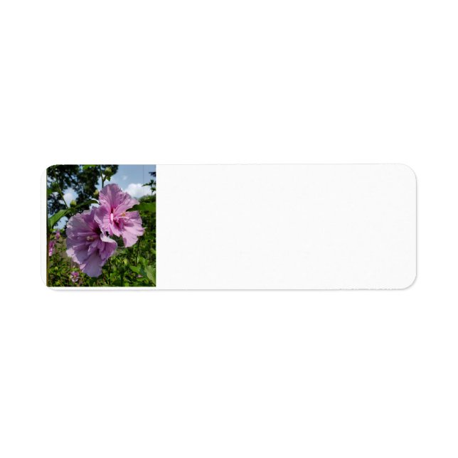 Rose of Sharon Label (Front)