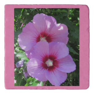 Rose of Sharon Photo Trivet