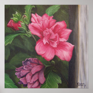 Rose of Sharon Poster