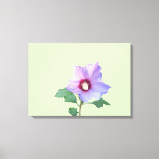 Rose of Sharron Canvas Print