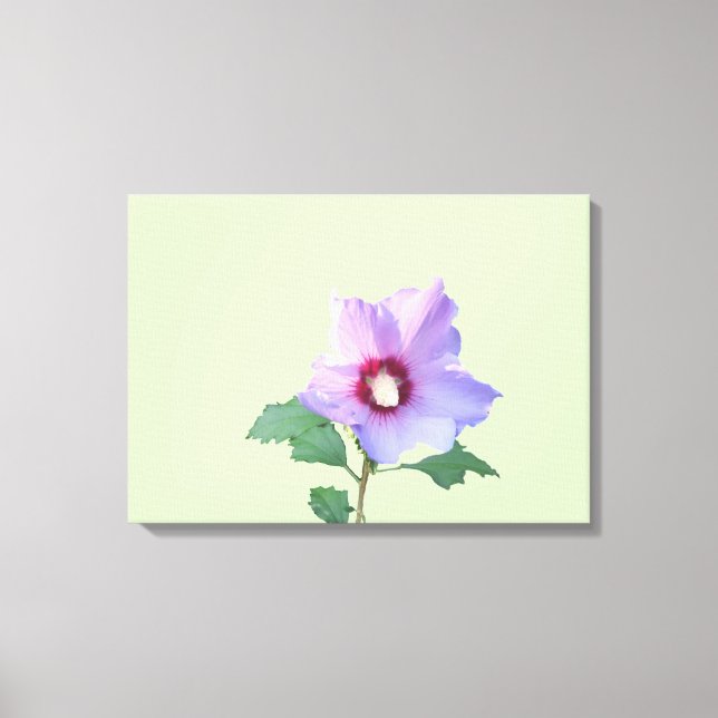 Rose of Sharron Canvas Print (Front)