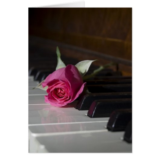Rose on Piano Cards (Front)