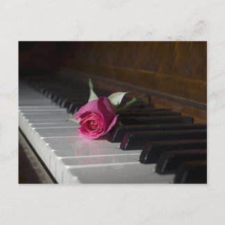 Rose on Piano Postcard