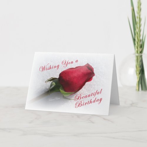 Rose on the Snow Card