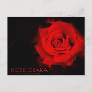 Rose Osaka Postcard