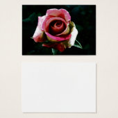 rose Painting (Front & Back)