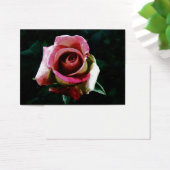 rose Painting (Desk)