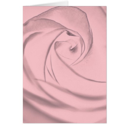 Rose - pale pink.jpg (Front)