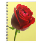 Rose &amp; Pale Yellow Notebook