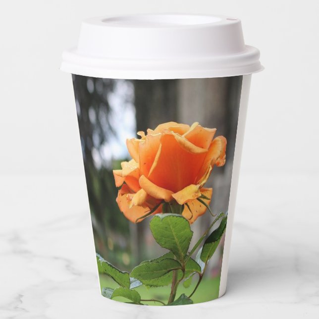 Rose Paper Cups (Front)
