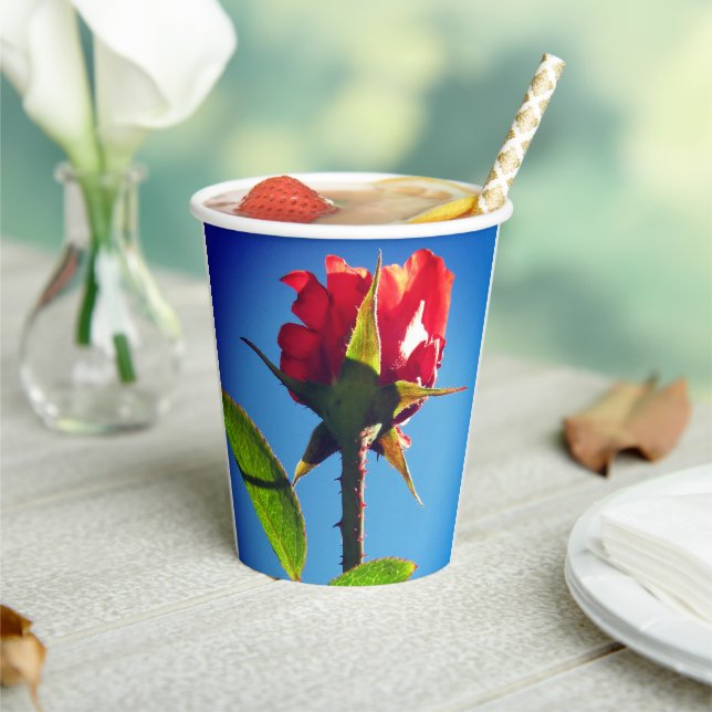 Rose Paper Cups (Insitu)
