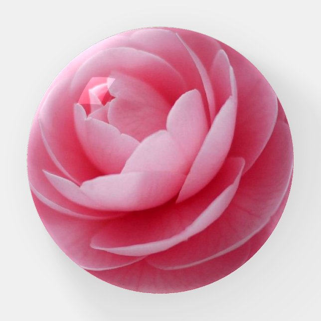 Rose Paperweight (Front)