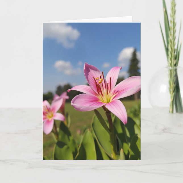 Rose Petal Flower Card (Front)