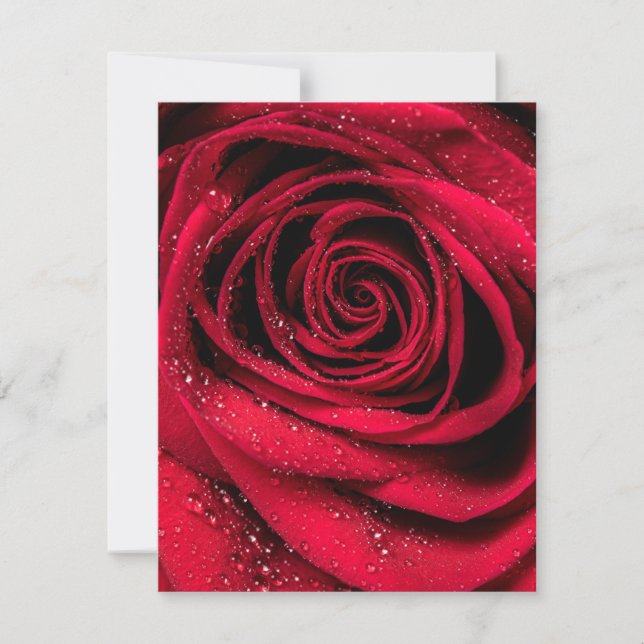 Rose Petals 1 Note Card (Front)