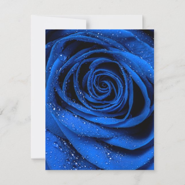 Rose Petals 3 Note Card (Front)