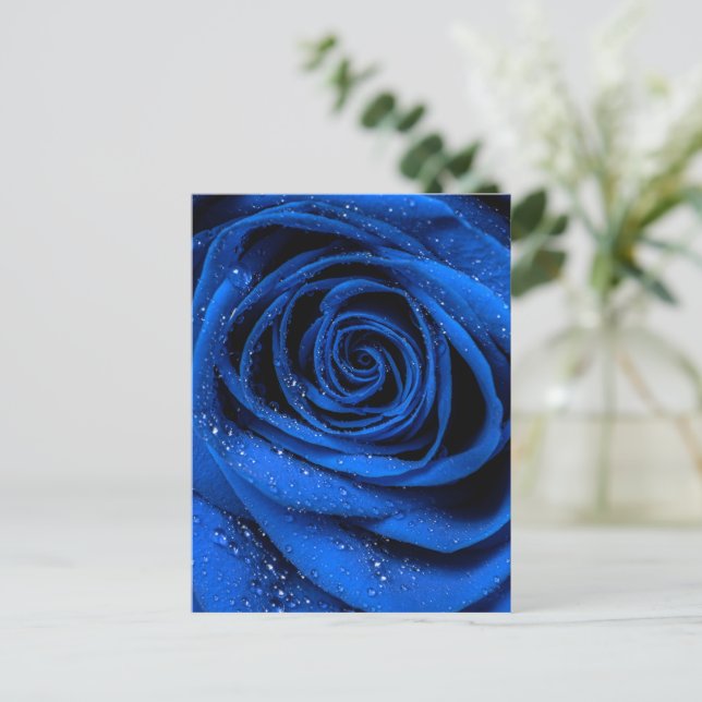 Rose Petals 3 Postcard (Standing Front)