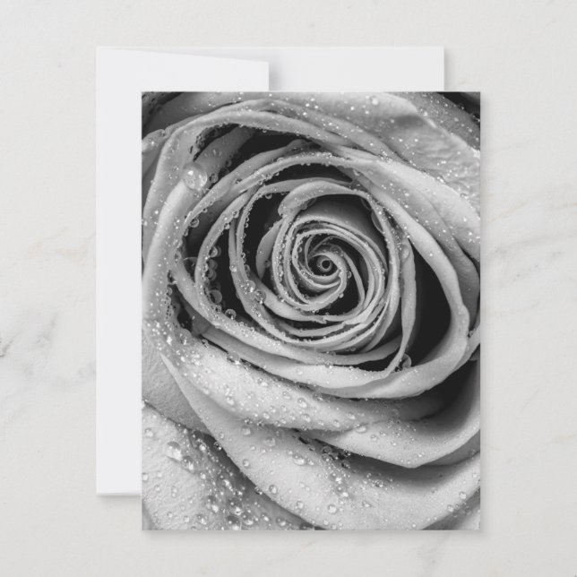 Rose Petals 5 Note Card (Front)