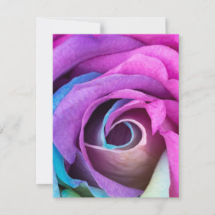 Rose Petals 6 Note Card