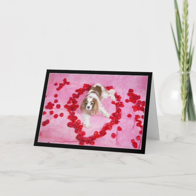 Rose Petals And Cavalier King Charles Spaniel Card (Front)