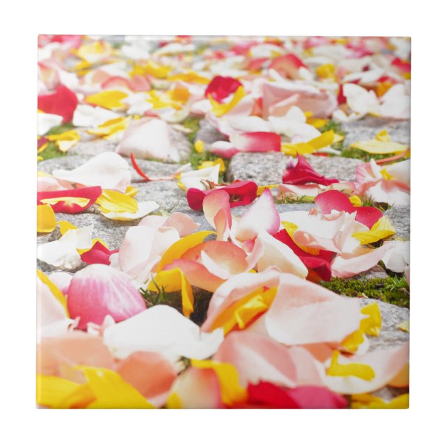 Rose Petals on Floor design Tile (Front)