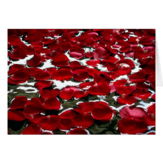 ROSE PETALS ON THE WATER CARDS