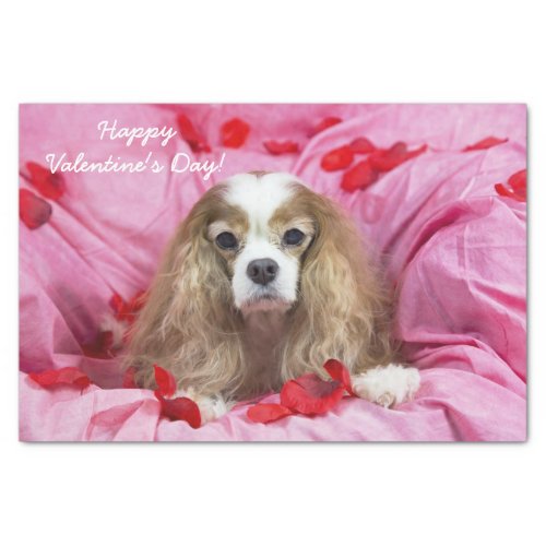 Rose Petals Valentines Day Cavalier King Charles Tissue Paper