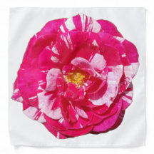 Rose Photo Bandana