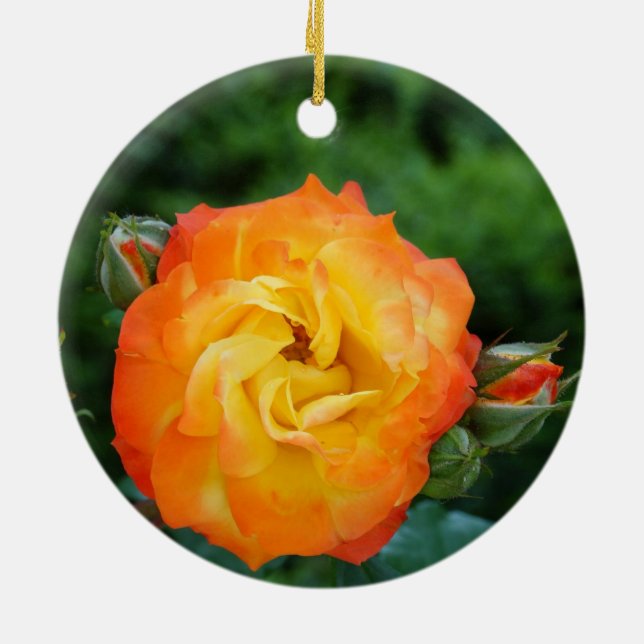 Rose Photo Ornament (Back)