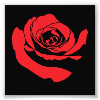 Rose Photo Print by lucidreality at Zazzle