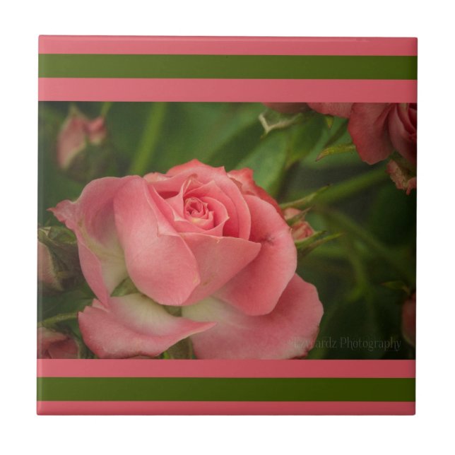 Rose Photo Tile (Front)