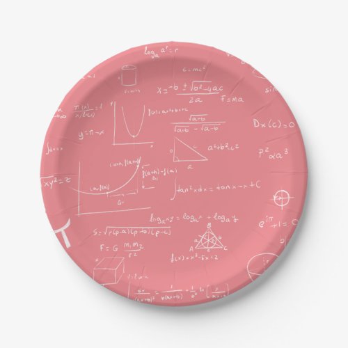 Rose Pink Math Equations and Formulas Paper Plates
