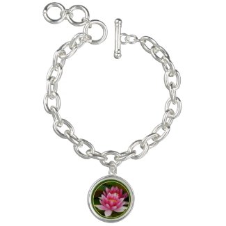 Rose-Pink Water Lilies