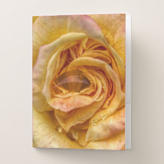 Rose Pocket Folder